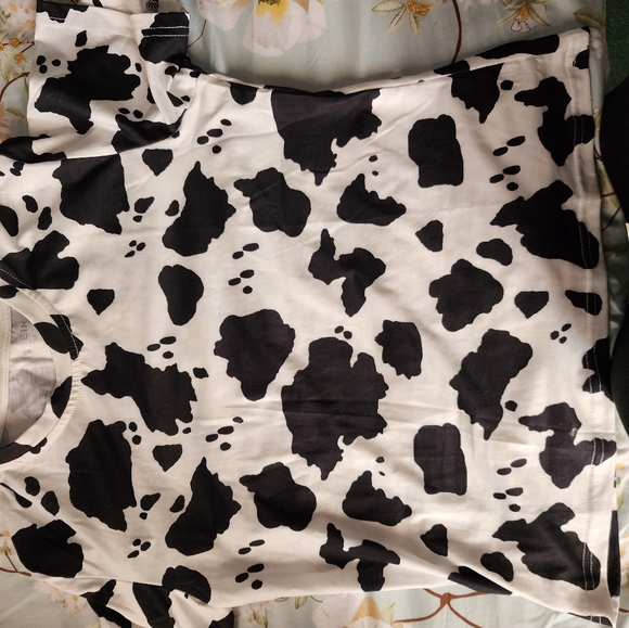 Ropa - Picture 7 of 16